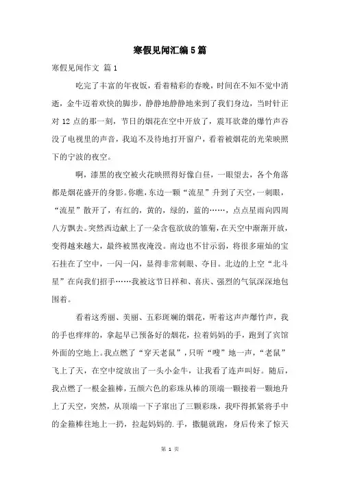 寒假见闻汇编5篇