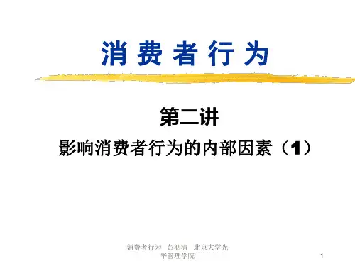 消费者行为分析影响消费者行为的内部因素