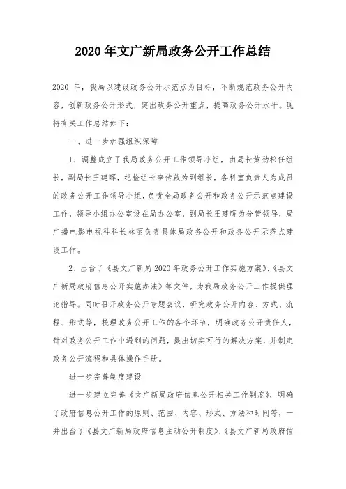 2020年文广新局政务公开工作总结