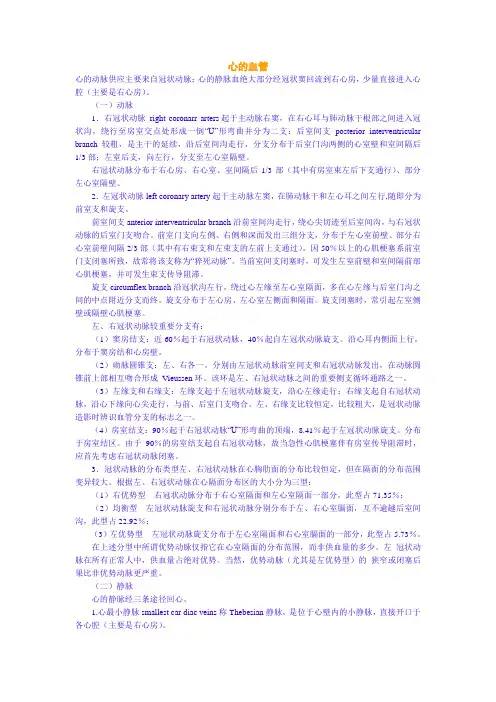 血管解剖