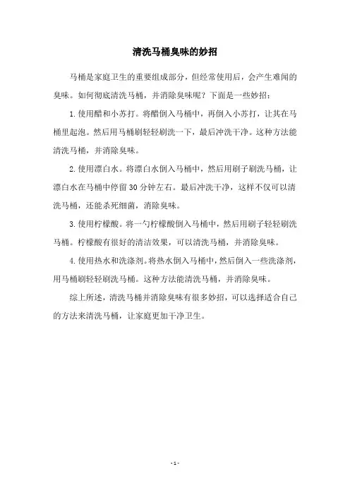 清洗马桶臭味的妙招