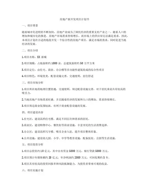 房地产新开发项目计划书