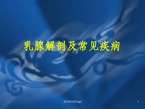 乳腺解剖及常见疾病ppt课件