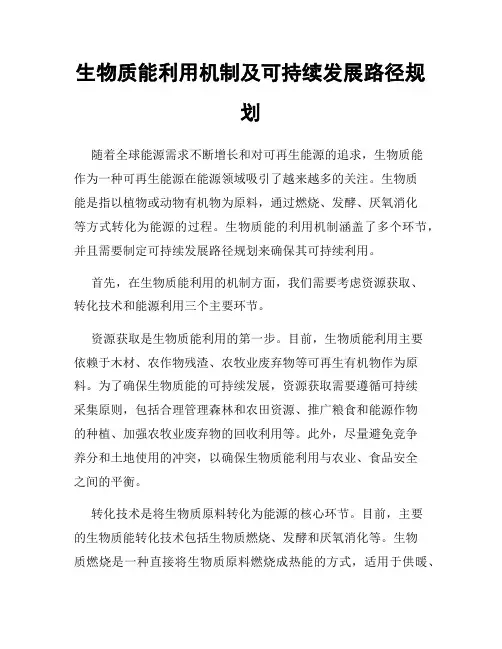 生物质能利用机制及可持续发展路径规划