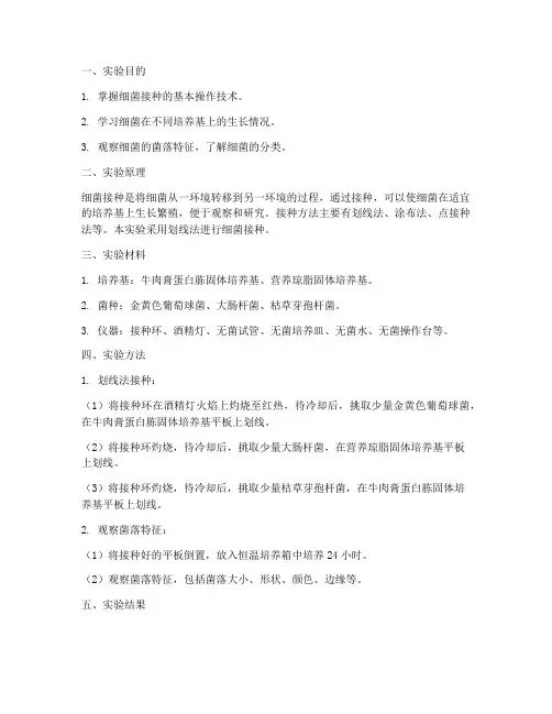 细菌接种实验报告范文