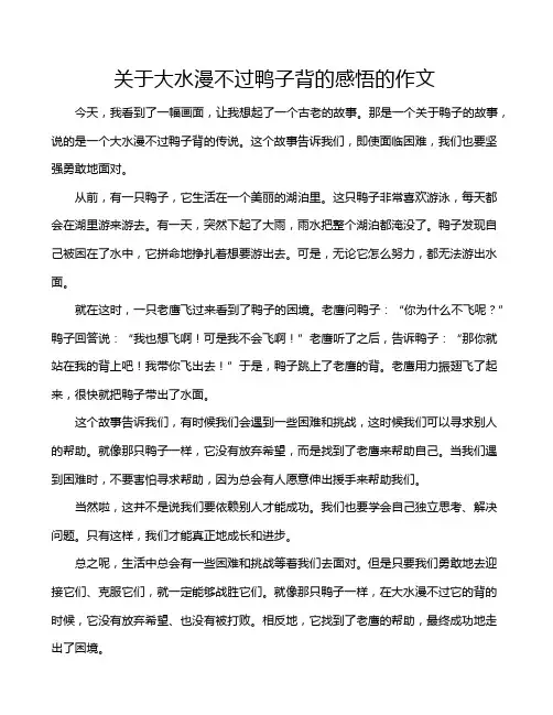 关于大水漫不过鸭子背的感悟的作文