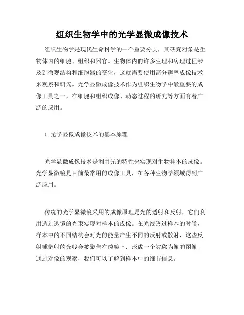 组织生物学中的光学显微成像技术