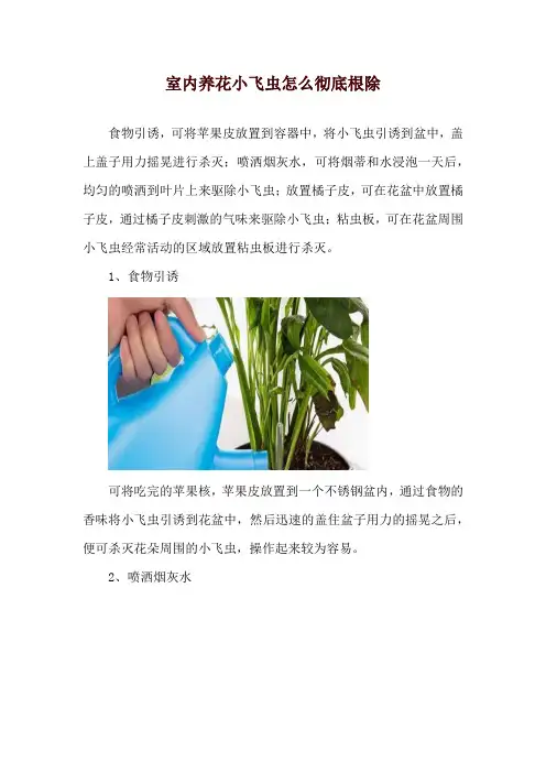 室内养花小飞虫怎么彻底根除