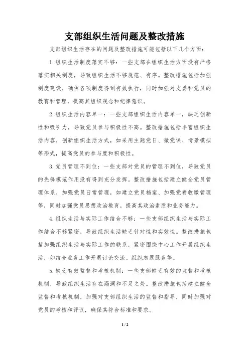 支部组织生活问题及整改措施