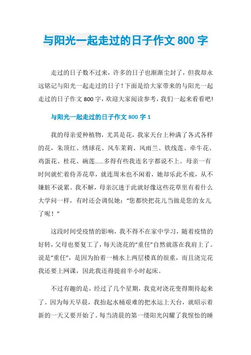 与阳光一起走过的日子作文800字