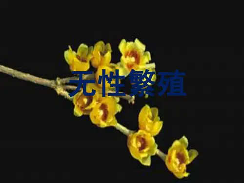 任务二无性繁殖