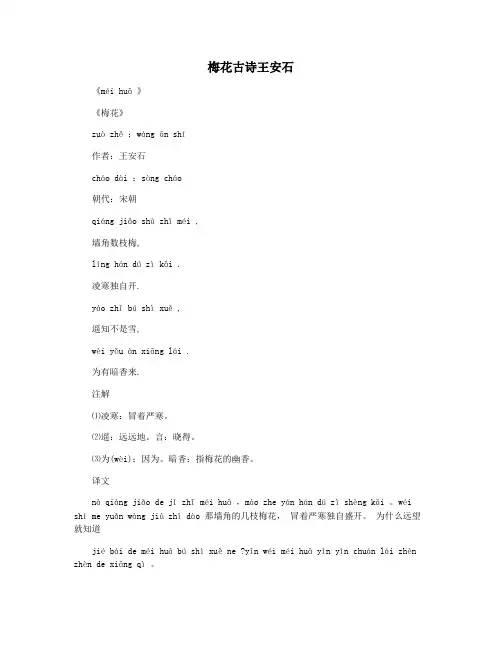 梅花古诗王安石