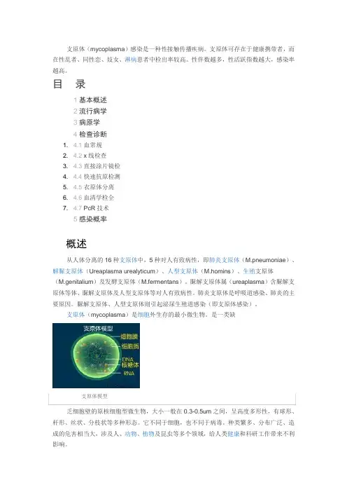 支原体