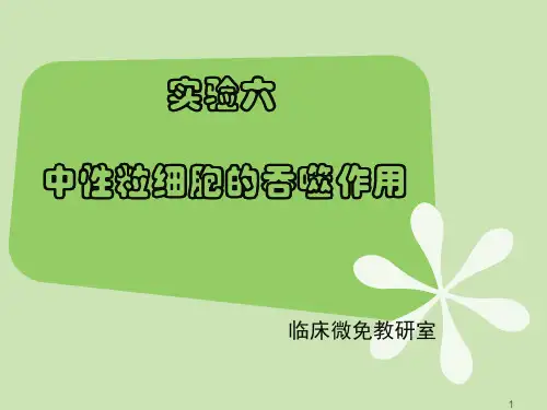 中性粒细胞吞噬试验PPT课件