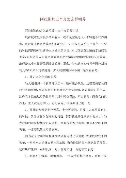 阿拉斯加三个月怎么样喂养