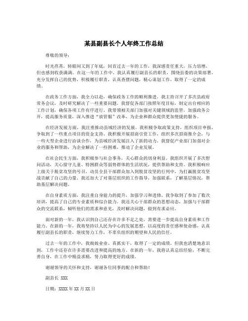 某县副县长个人年终工作总结