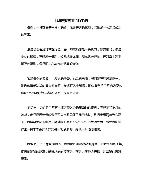 我爱柳树作文评语