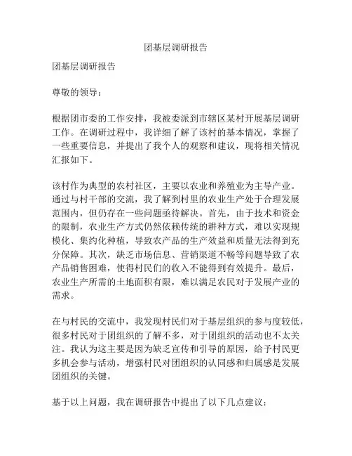 团基层调研报告