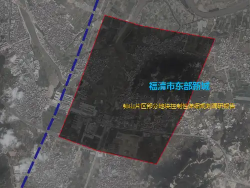 (精品)控制性详细规划调研报告