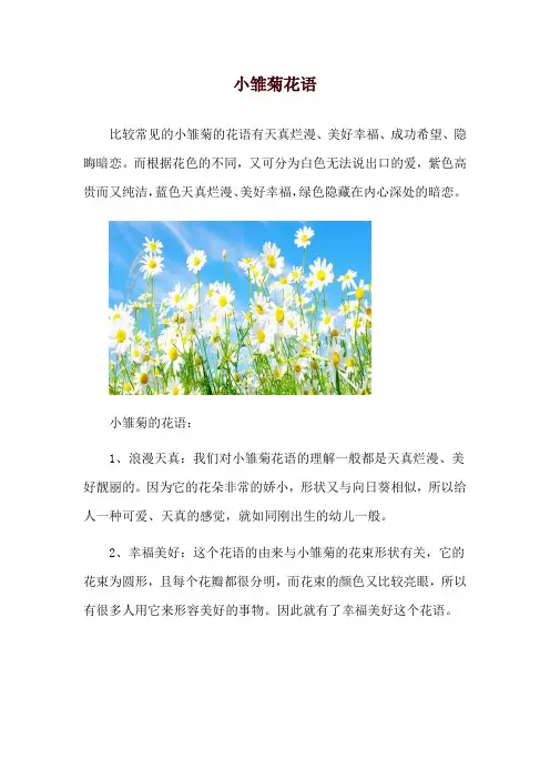 小雏菊花语