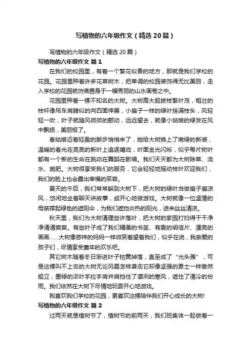 写植物的六年级作文（精选20篇）