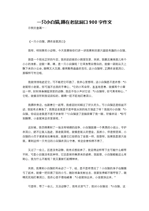 一只小白猫,蹲在老鼠洞口900字作文