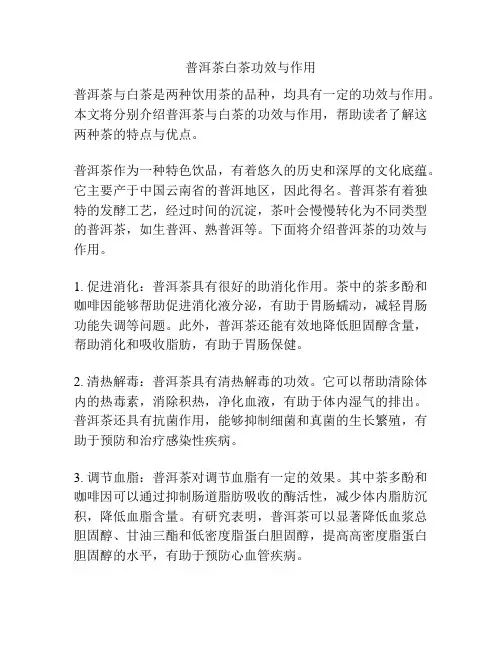 普洱茶白茶功效与作用