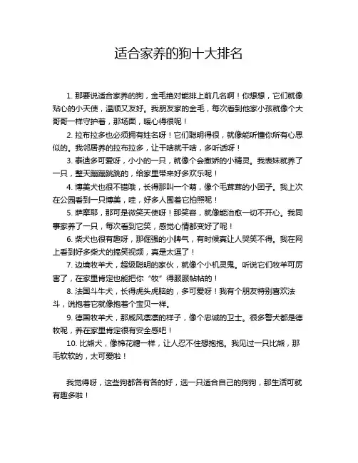 适合家养的狗十大排名