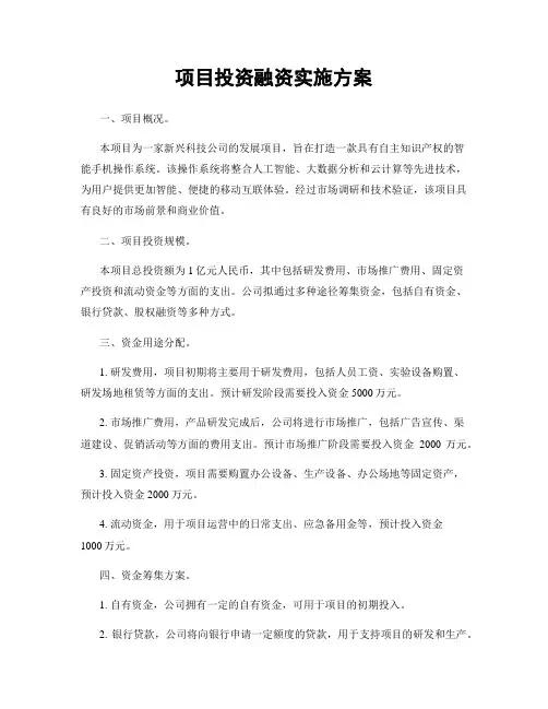 项目投资融资实施方案