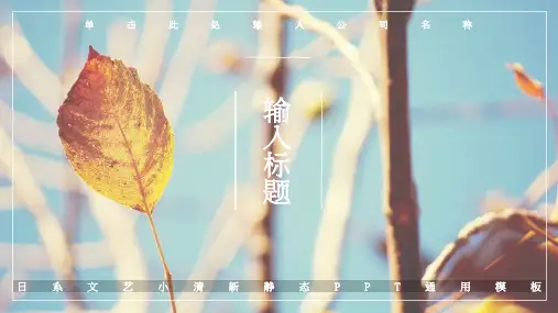 日系文艺小清新通用PPT模板