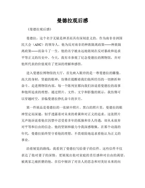 曼德拉观后感