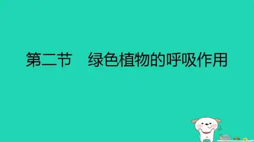 人教版3.5.2《绿色植物的呼吸作用》课件(18张ppt)