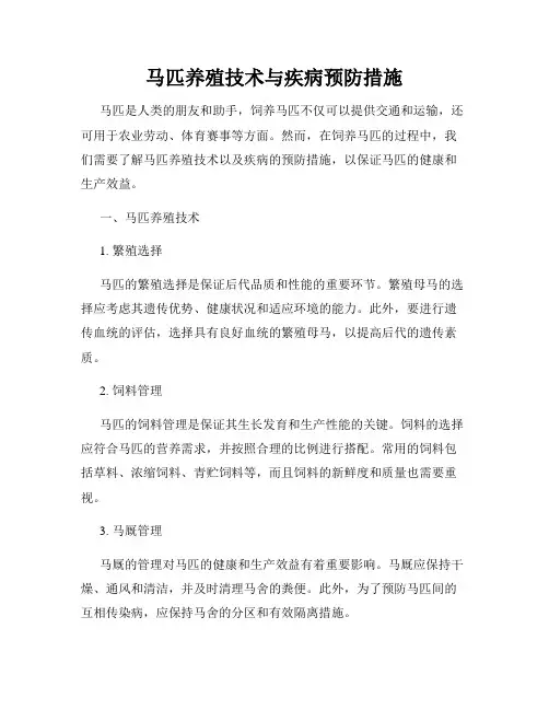 马匹养殖技术与疾病预防措施