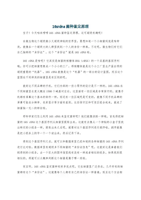 16srdna菌种鉴定原理