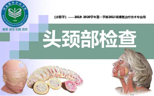 诊断学14-头颈部检查