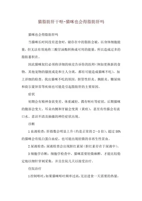 猫脂肪肝干呕-猫咪也会得脂肪肝吗