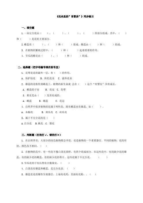 粤教版小学科学5年级上2