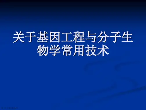 基因工程与分子生物学常用技术课件