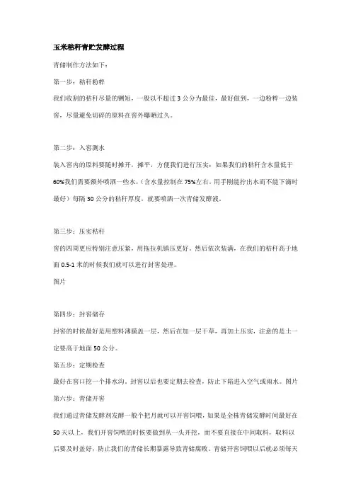 玉米秸秆青贮发酵过程