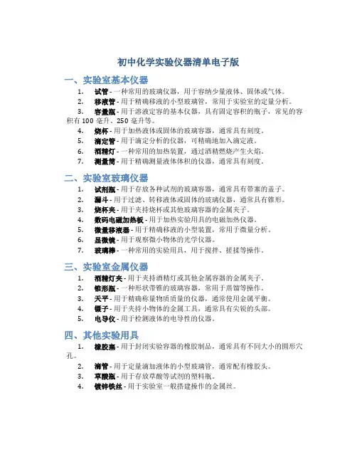 初中化学实验仪器清单电子版