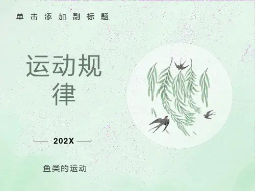 运动规律-鱼类的运动