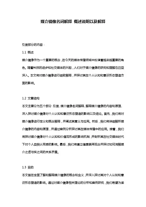 媒介镜像名词解释_概述说明以及解释