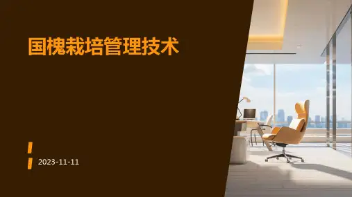 国槐栽培管理技术