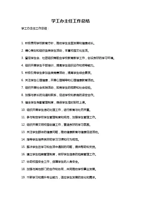学工办主任工作总结