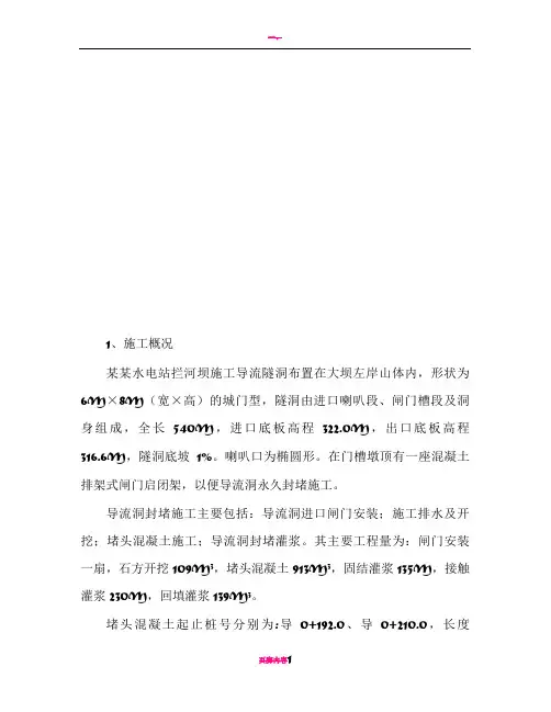 导流洞封堵方案11