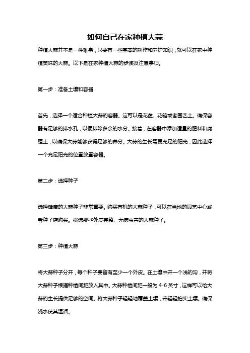 如何自己在家种植大蒜