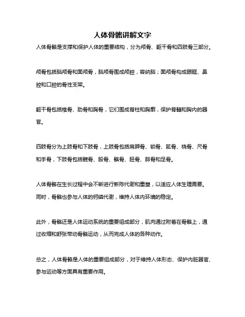 人体骨骼讲解文字