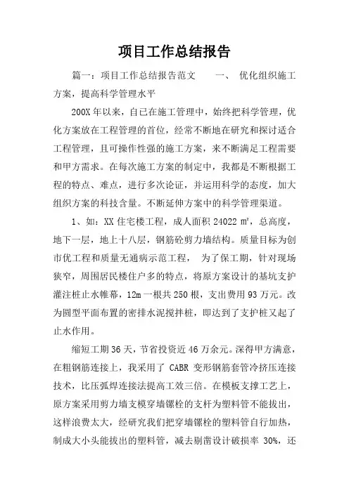 最新2019项目工作总结报告_1