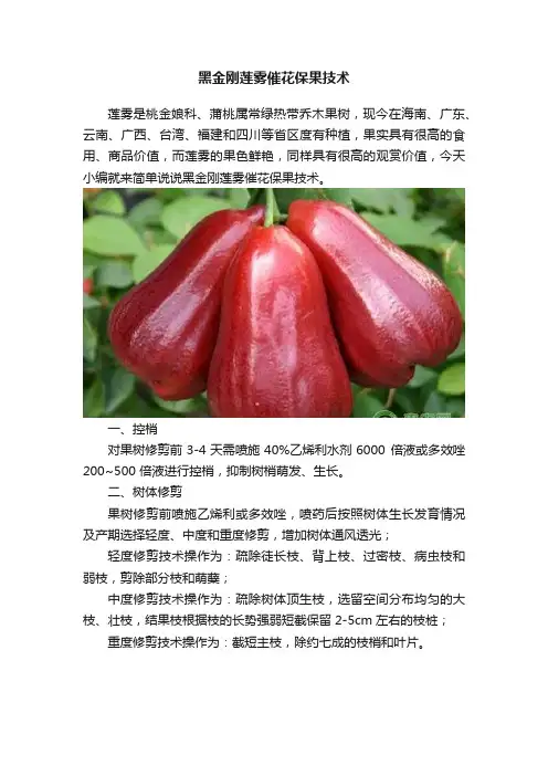 黑金刚莲雾催花保果技术