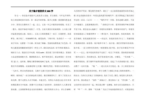关于除夕夜的作文800字